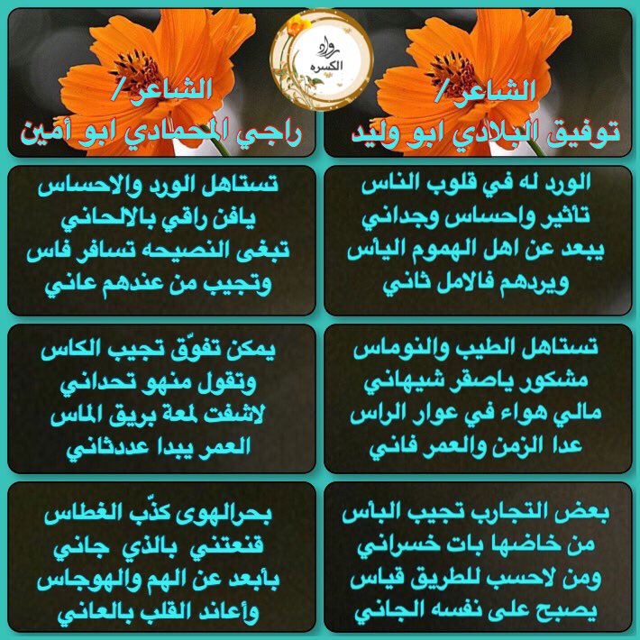 abowleed911 tweet picture