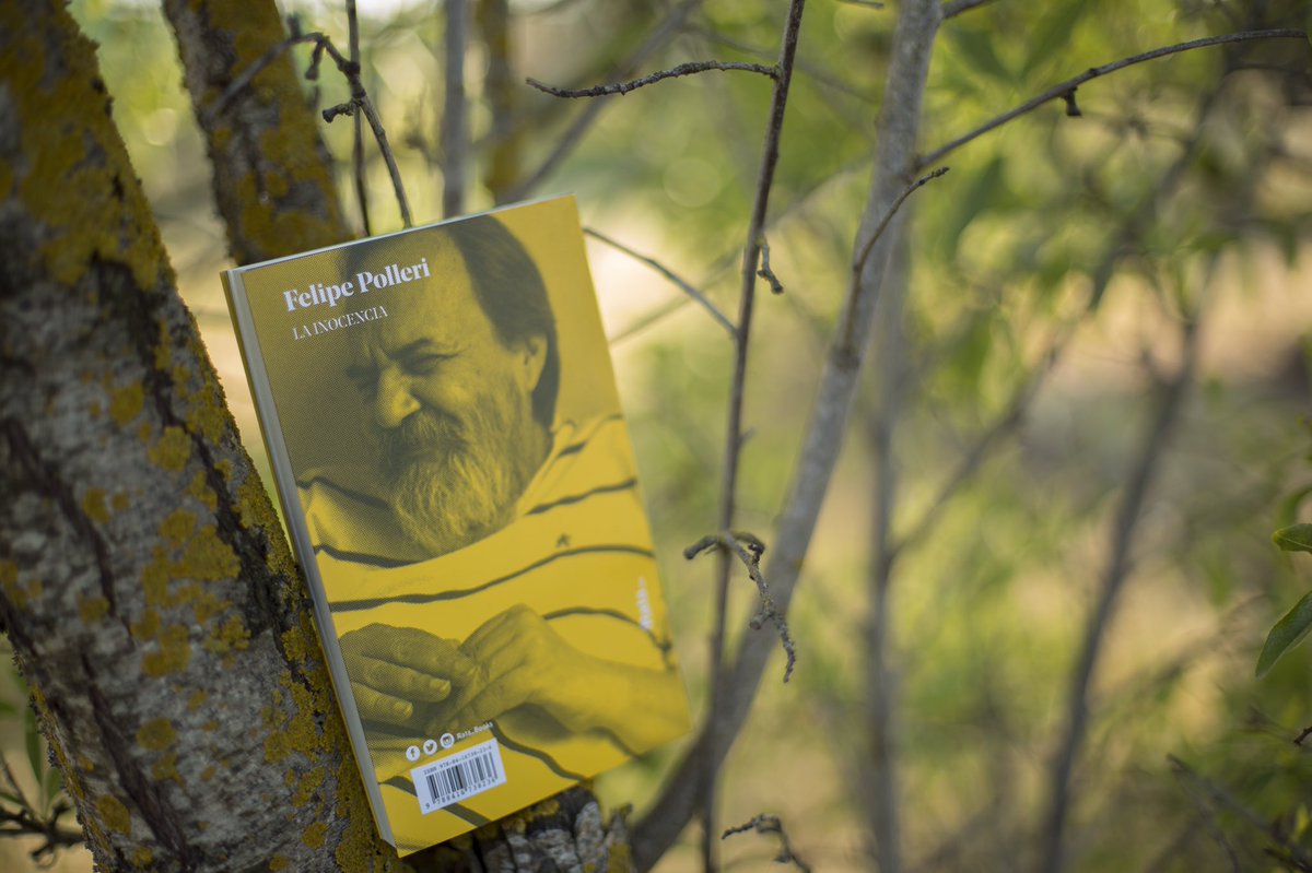 Rata_Books's tweet photo. 'La inocencia' de Felipe Polleri ya está en todas las librerías. #mustread #polleri #lainocencia https://t.co/kUBpRgCCwH