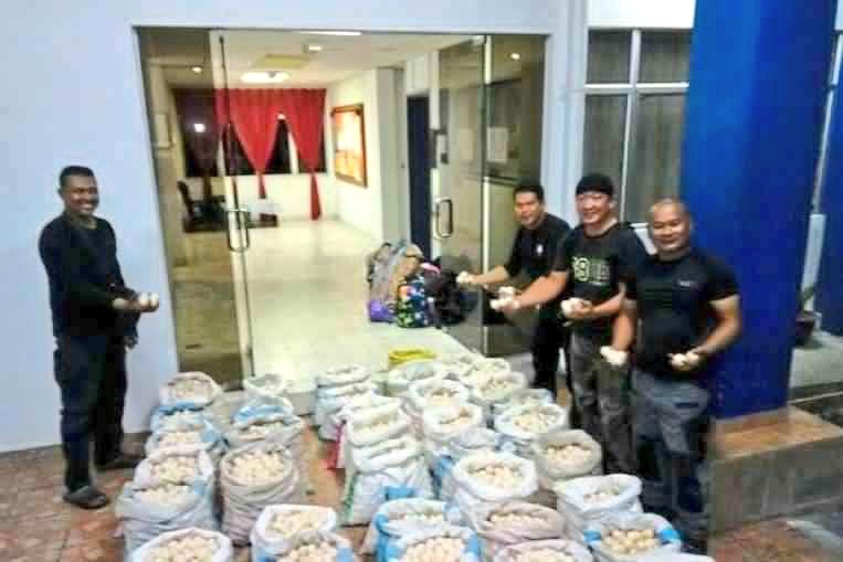 kresoglavac's tweet photo. @CroatiaMalaysia & I are so proud of Malaysian #police & result of a special operation to nab #turtle egg smugglers. #Eco #ecology @PDRMsia https://t.co/OSv3xH5P0U