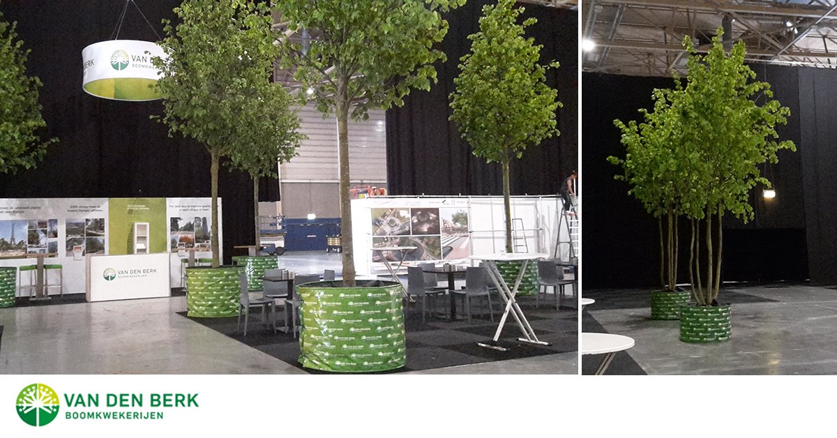 De Meerstammige lindes kleden onze stand en het Horecaplein goed aan. Tot morgen (stand 9.20)<a href="/DvdOREU/">DagOpenbareRuimteEU</a> Tot morgen!