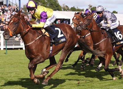 OddsCheckcom's tweet image. #HorseRacing #FreeTips #BettingTips #YorkRaces
Brando @ 11/4 (3.75) @SkyBet
For more betting Tips visit our website: oddscheck.com/freetips