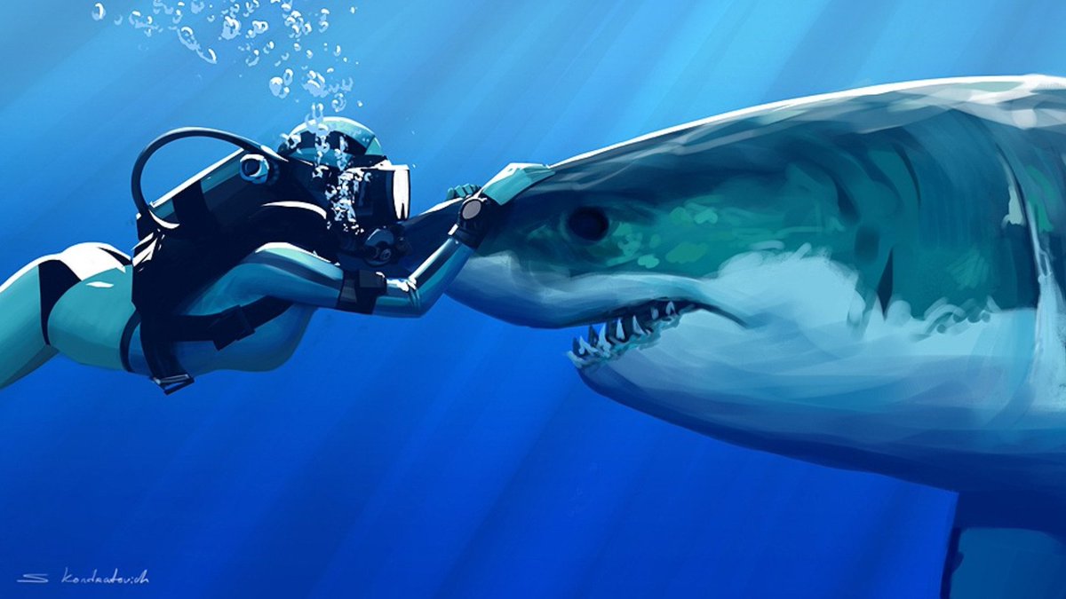 SharkMontauk's tweet photo. “You cannot do a kindness too soon, for you never know how soon it will be too late.” - Ralph Waldo Emerson 🌊😍🦈 #wednesdaywisdom https://t.co/zi3cP3BNKC