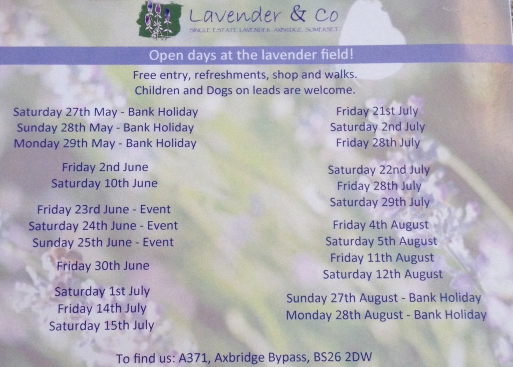 lavenderandco's tweet photo. Come and join us for our open days. All welcome. Kids ride on toys, refreshments &amp; walks round the field. Dogs welcome on leads https://t.co/1rMTRoxVpu