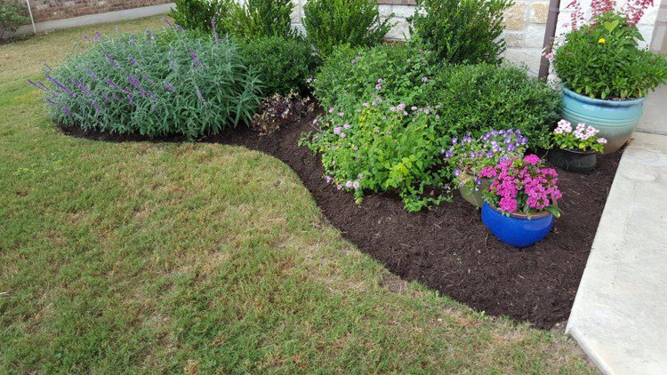 TopChoiceATX's tweet photo. You have enough mulch? Best to make sure! https://t.co/IemrLnK4A4 https://t.co/KcOadzQFv9