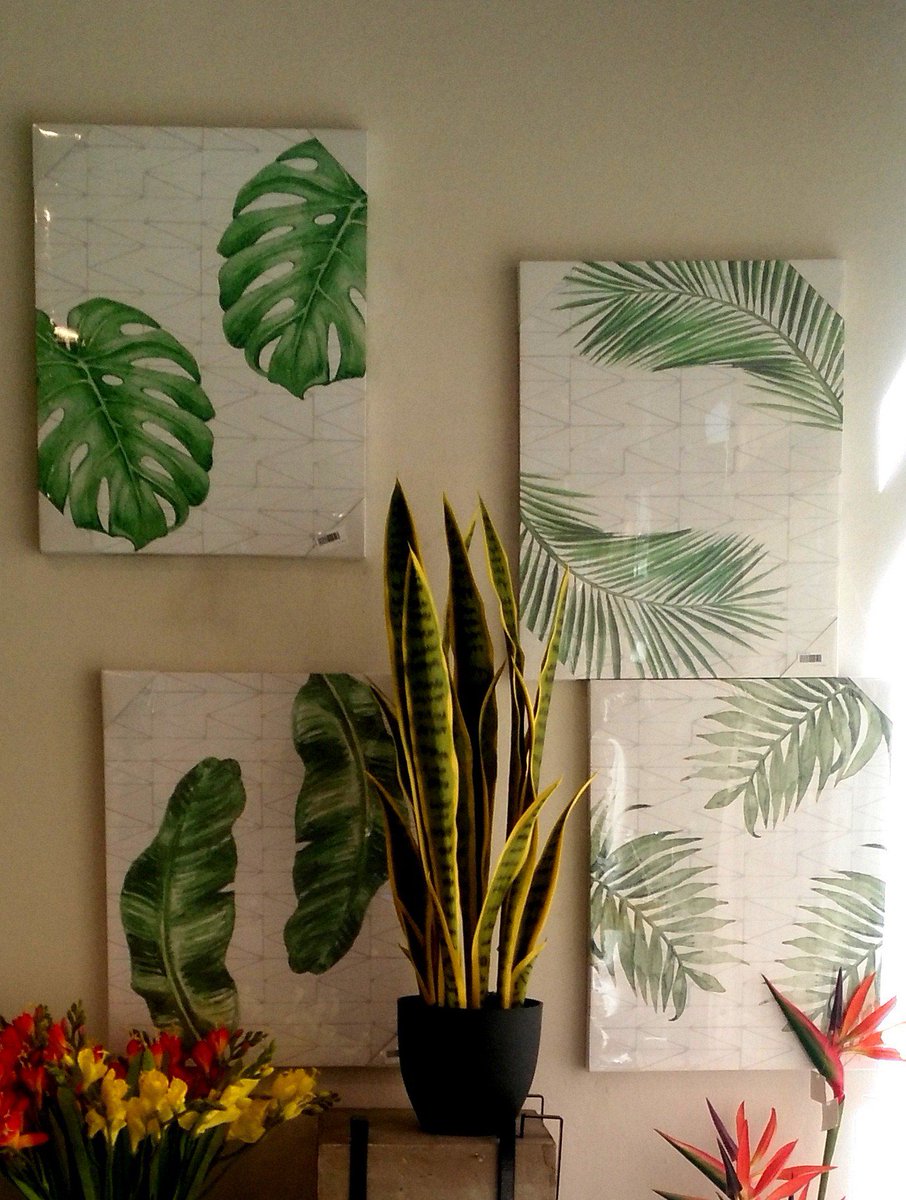Coquett_decor's tweet photo. #cuadros #hojastropicales #tropicalcollection #novedades #últimastendencias #escaparate https://t.co/ZFu5IBOn3R muy económicos 11,70€ https://t.co/tVI5PMkODn