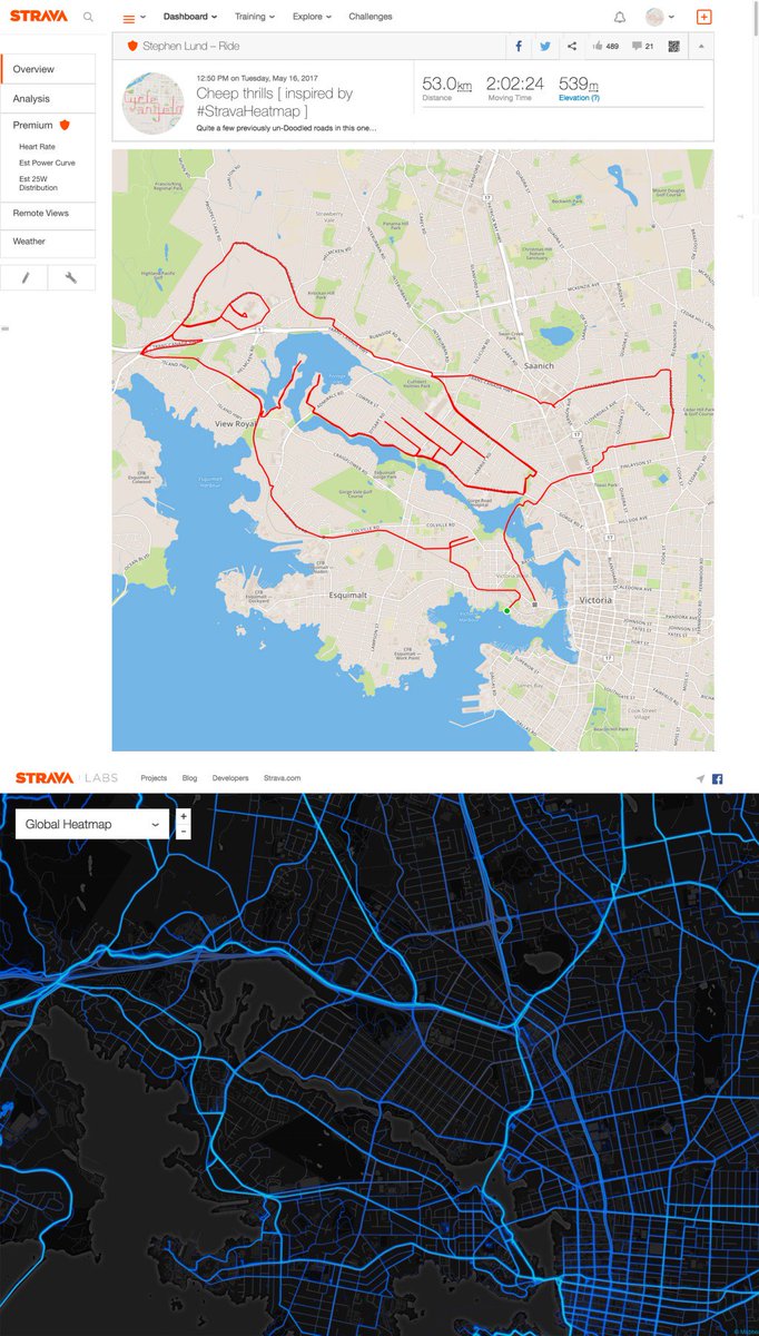 Cheep thrills on my #bicycle: a #GPS songbird inspired by <a href="/Strava/">Strava</a>'s Global Heatmap gpsdoodles.com/2017/05/17/che…