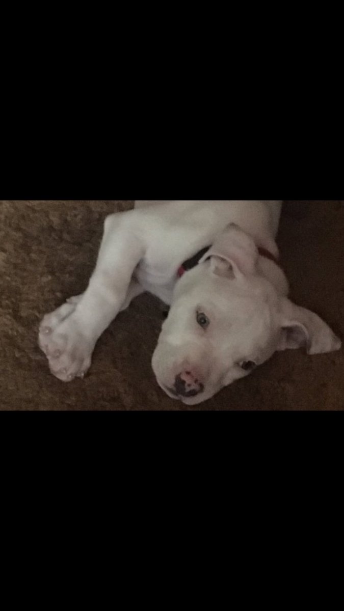 CourtneyBuss's tweet photo. Please stop growing 😞🙁💋💘 https://t.co/OZAqgHwTYT
