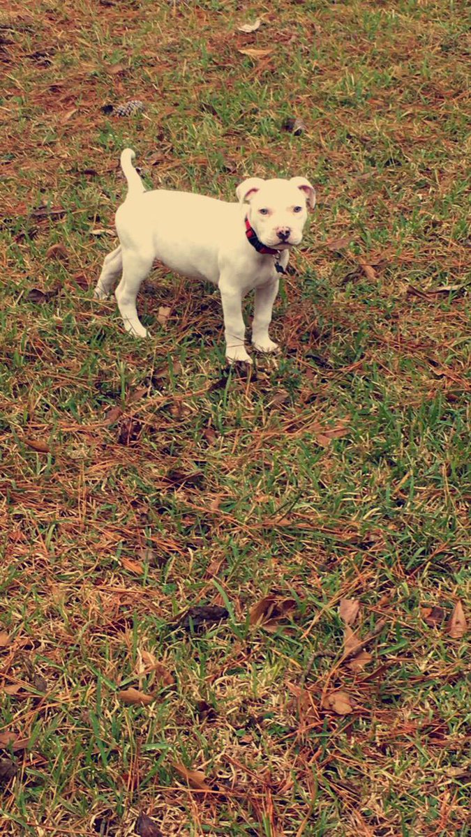 CourtneyBuss's tweet photo. Please stop growing 😞🙁💋💘 https://t.co/OZAqgHwTYT