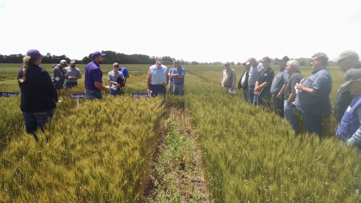 DougShoup1's tweet image. @KSUWheat talking acid soil on wheat. Lime and in-furrow P helps. This site is 4.9 in Harper Co