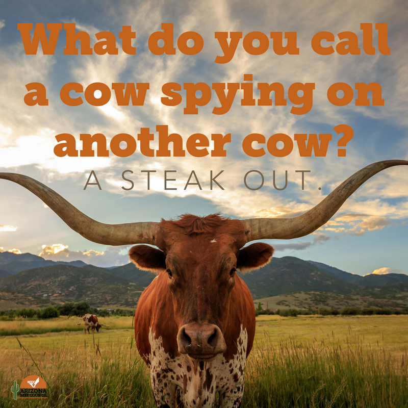 ArizonaBeef's tweet photo. A good laugh for you. #laugh #jokes #cowjoke https://t.co/L13cBVkdqK