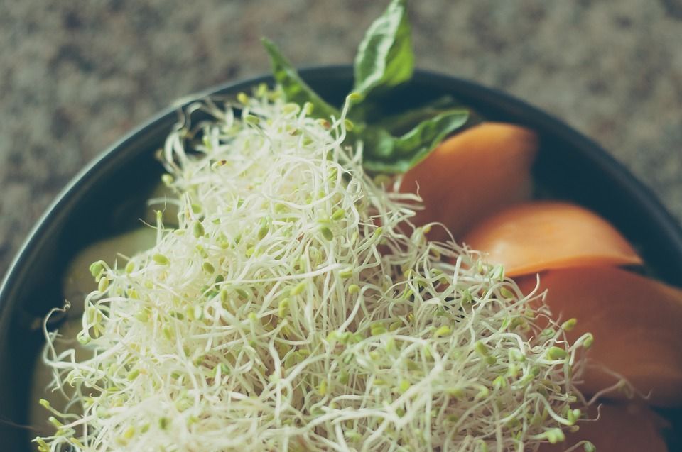 MamaNaturalTV's tweet photo. Los #beneficios de las semillas #germinadas, ¡te sorprenderás! – #MamáNaturaltv https://t.co/OlniVujyw5 https://t.co/Fmwz9KdQAa