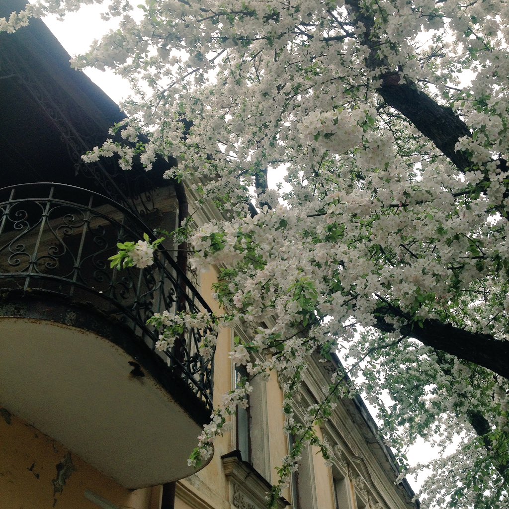 Vicatorios's tweet image. Жаль, что мы не встретились раньше....