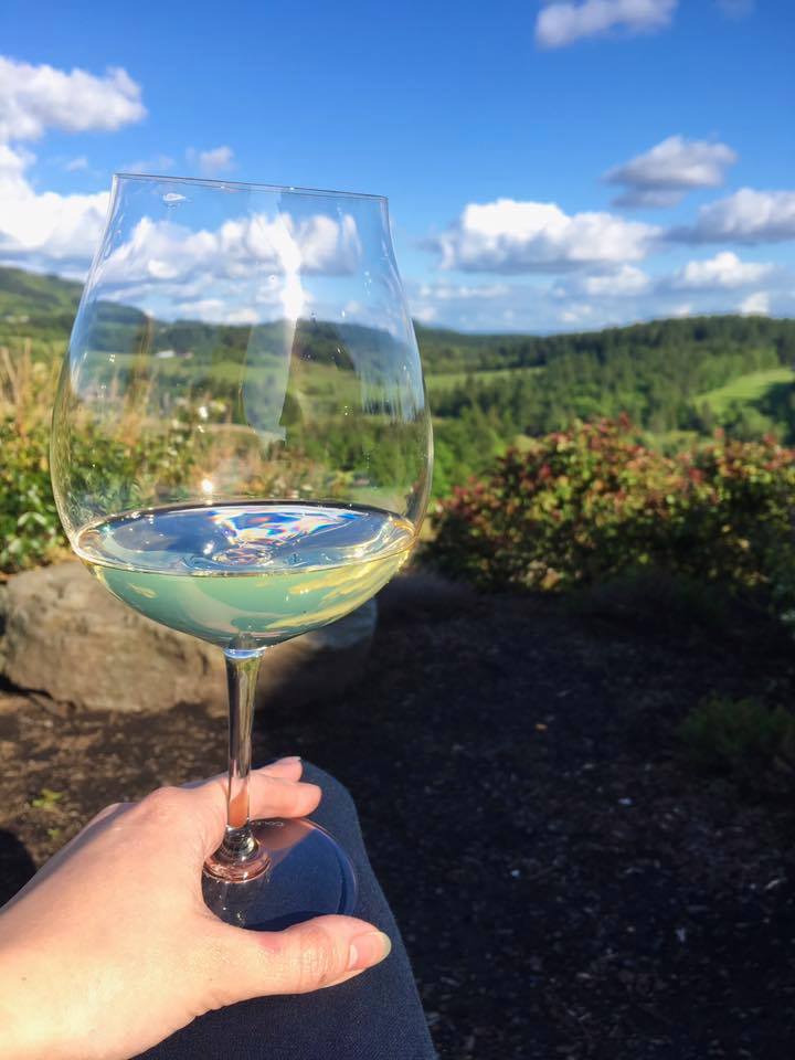 Only 3 days until we release our 2015 Chardonnay! Come up to enjoy some glorious wines and this breathtaking view ☀️ coleneclemens.com/events/