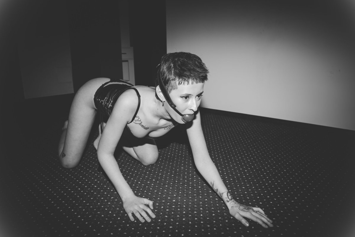 Bad Kimbra tweet media