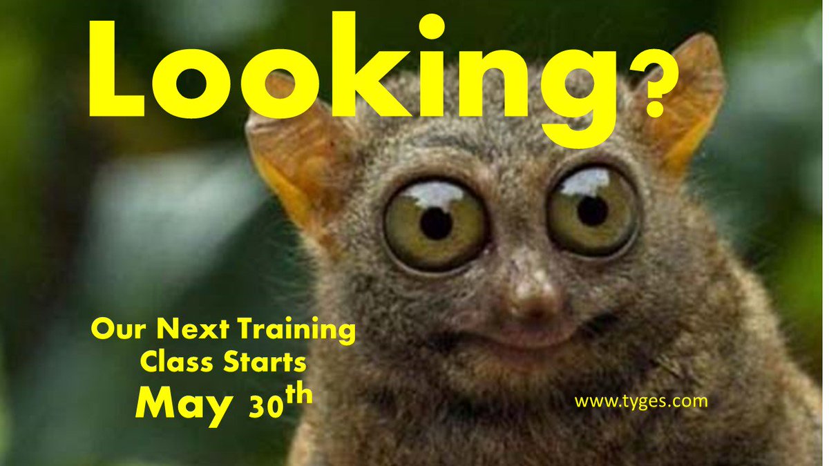 TYGESINT's tweet image. We're growing and headed toward another record breaking year.  Join our team...let's get started tyges.com/work-for-us #TYGES #Careers