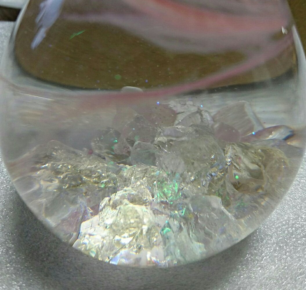 キラキラしてる～✨