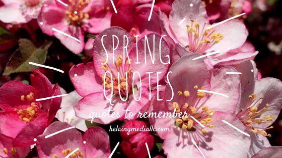 healingmediallc's tweet photo. Check out our newest blog #allaboutspring https://t.co/GkBtlmeH0L #quotesforlife https://t.co/pF7LxtOrEL