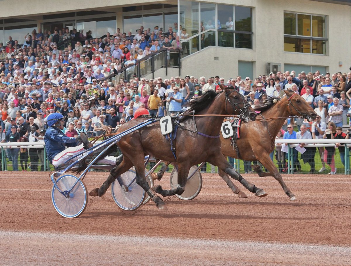 LeTrot's tweet photo. #AmiralSacha 🏆 PrixDesDucsDeNormandie @CaenOfficiel avec @gabigelormini récompensé par @MissFrance /Aubrion du Gers 2ème /record de la piste https://t.co/DUP6KyAhut