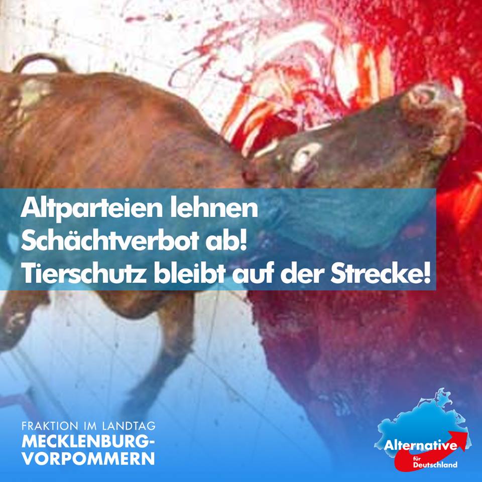AfDFraktion_MV's tweet photo. +++ Altparteien gegen #AfD-Antrag für Schächtungsverbot +++

So sieht die traurige Realität aus: https://t.co/Nzyr0hAIXH https://t.co/N3oTrhjX56