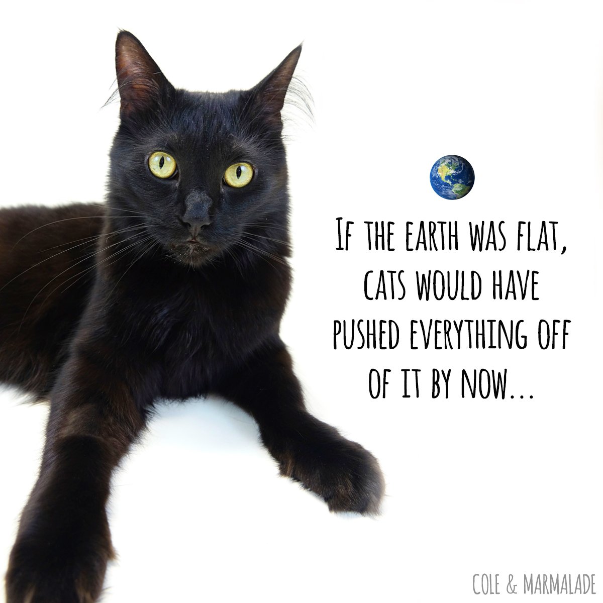 That makes sense... :)
coleandmarmalade.com