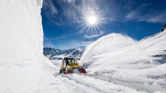 schweiz tweet picture