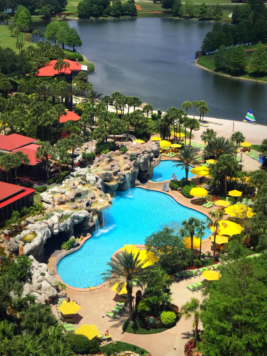 MilroServices's tweet photo. Another gorgeous day in Orlando for the Nexxus Conference ☀️ #nexxusconference2017 #networking #insurance #claim #adjuster #restoration https://t.co/cqn1oDBMHg
