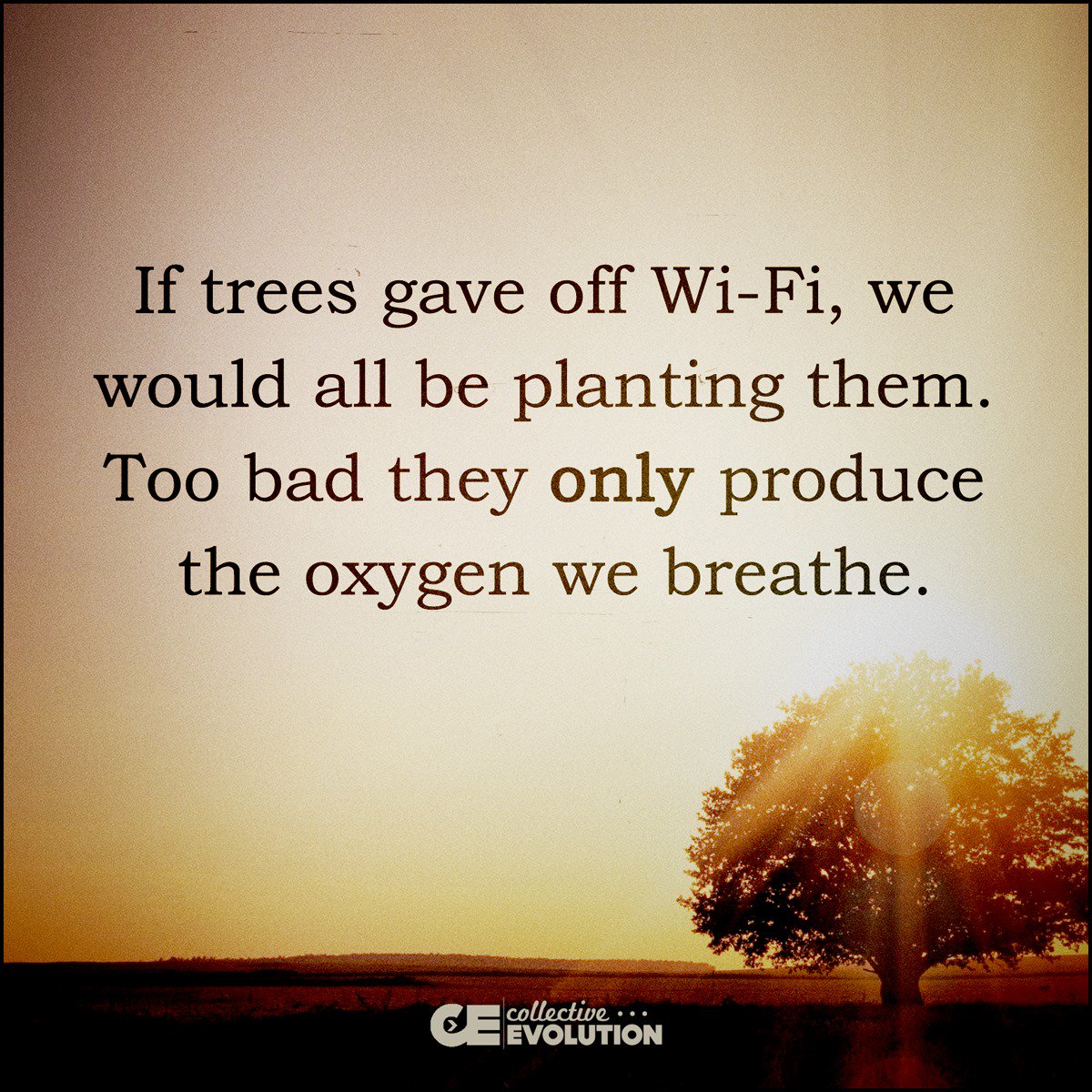 CollectiveEvol tweet picture