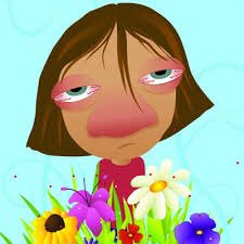 HBMSTeamdaVinci's tweet image. Allergy season has hit Team da Vinci!  We are in dire need of tissues on Team da Vinci. #help #allergies #anyamounthelps