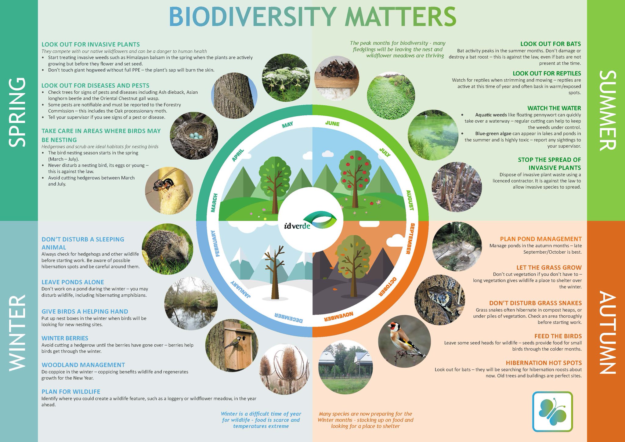 Idverde Uk On Twitter Want To Understand How To Protect Biodiversity