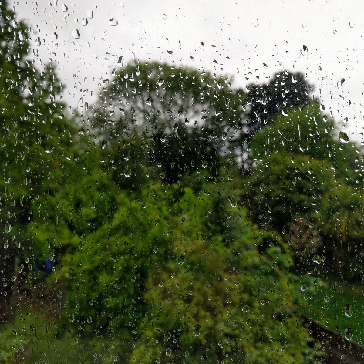 I need to get milk, but the weather is awful with non-stop rain. :(