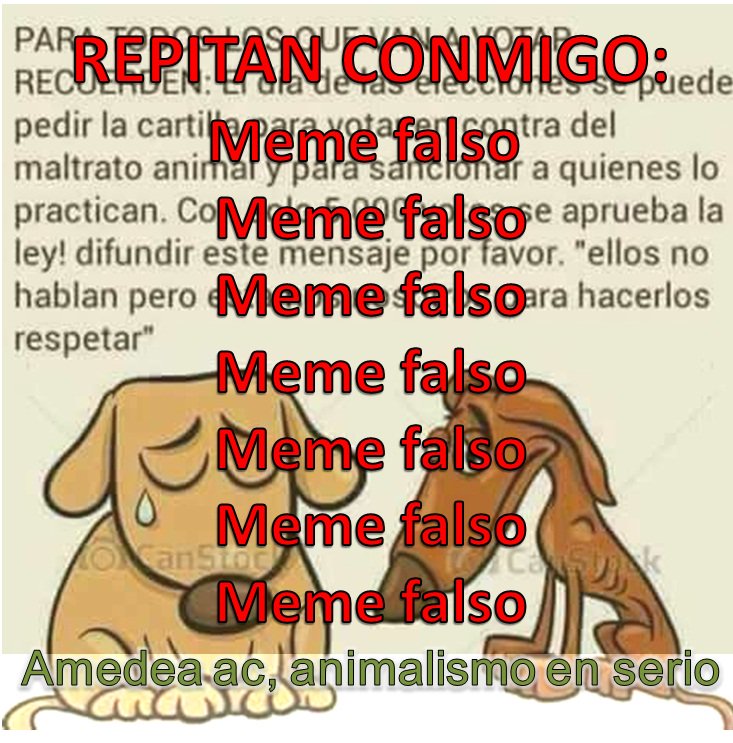 Gustavo Larios tweet media