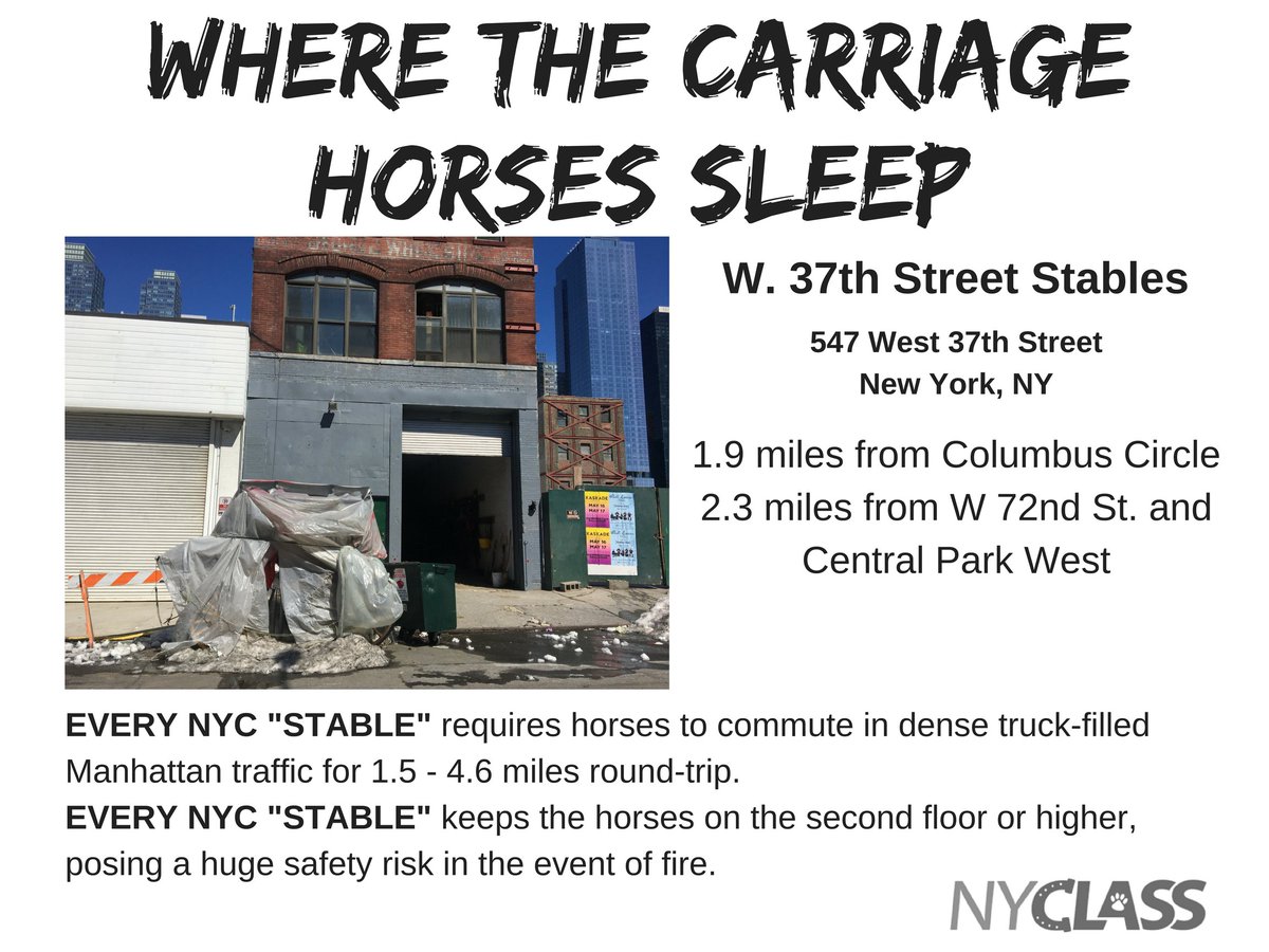 nyclass's tweet photo. Did you know...#RT #BANHORSECARRIAGES #emptythecarriages #animalrights #tourism #iloveNYC #iloveny #NYCgo #centralpark https://t.co/YF4RXgwDIC