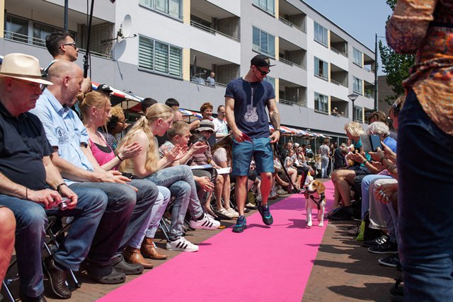 Wie is de leukste hond van Rotterdam? Doe zaterdag mee aan de verkiezing van Dogparade 010! &gt; bit.ly/2reXNqf