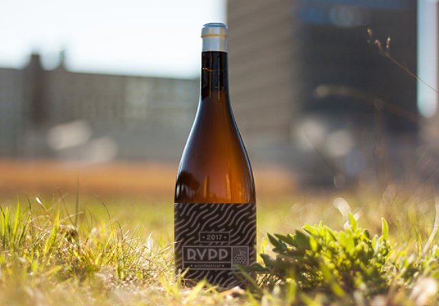 Rotterdam Festivals tweet media