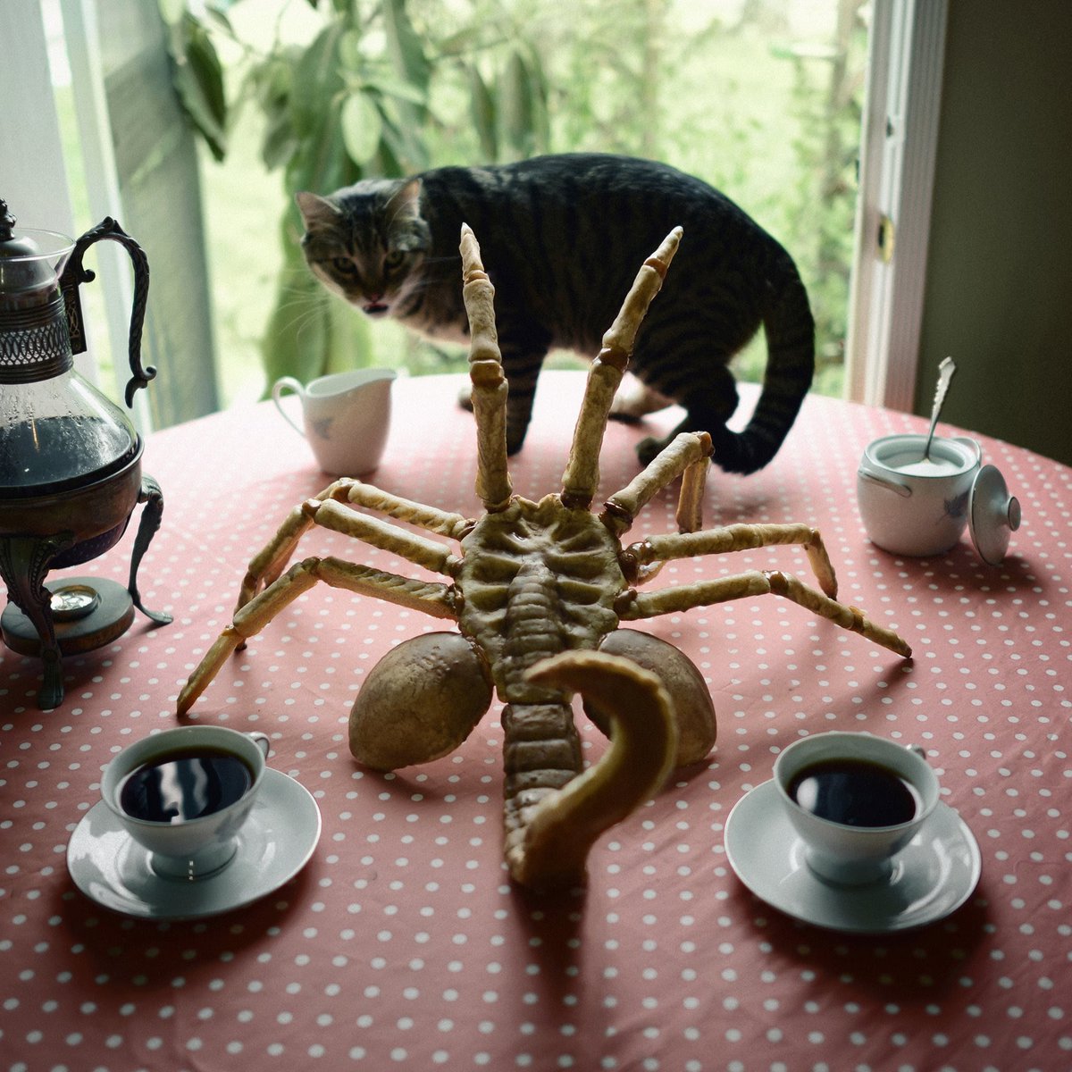 Final #Alien inspired photo features our loveable #Facehugger and a #cat. #AlienCovenant #AlienDay #XenoEvil #Xenomorph 2 more days!