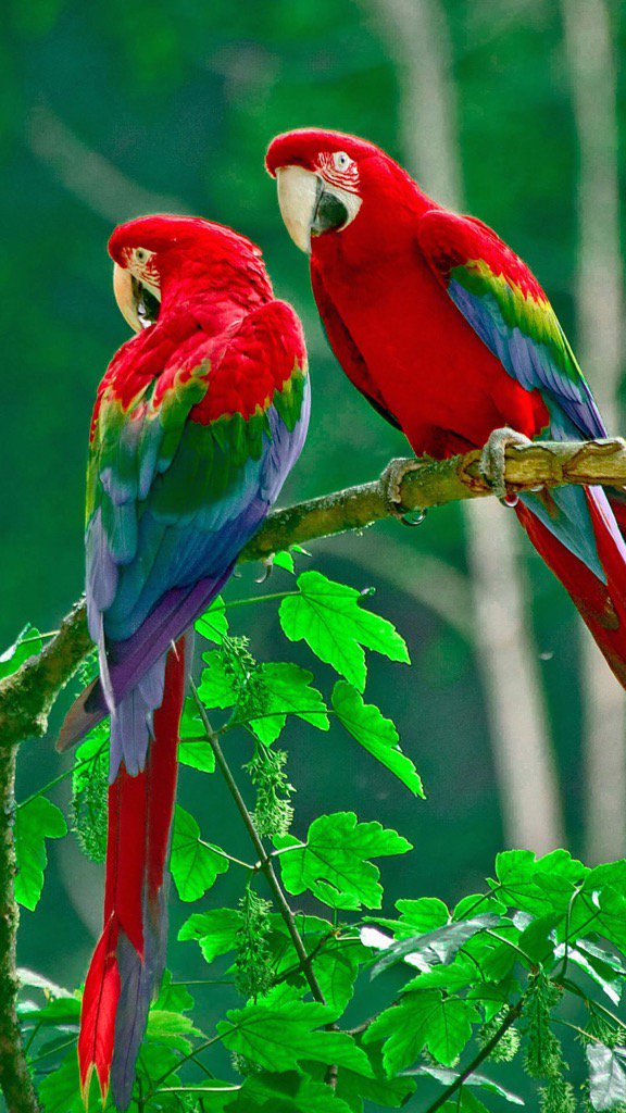 🇺🇸RegiAleman 💋 (@aleman_reginal) on Twitter photo 