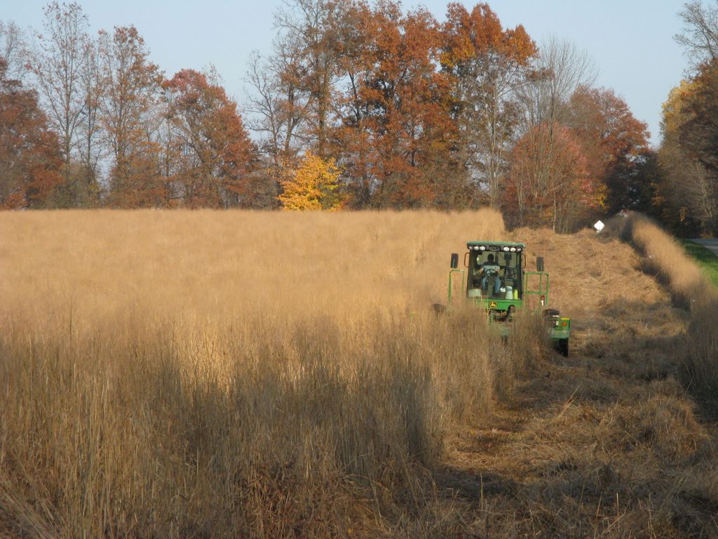 AgEnergy's tweet image. Fall harvest of #Switchgrass in Crawford County PA using a disc mower buff.ly/2rqRSeI Photo by Daniel Ciolkosz, @agsciences