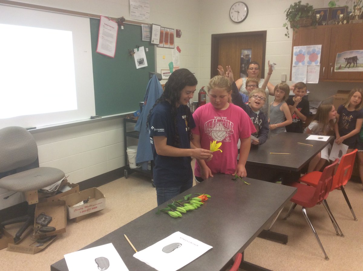 sgreiner486's tweet photo. HS students, Mr. Mosbaugh &amp; Miss Gilley teach 3rd graders about photosynthesis, plant growth cycles, aquaculture &amp; greenhouse production. https://t.co/06sJdMNTXM