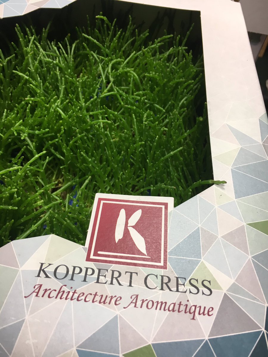 Dan5504Danny's tweet photo. Kippers cress now available @fruitsales #flavour #fresh #growing #cresss @chef_fearon @glazebrookhouse @FineFoodMike @Devonchefsclub https://t.co/E03KUdZjsp