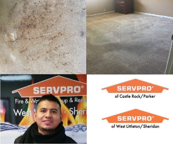 Carpet Cleaning by Javier. He can get those tough stains out!