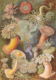 Check out our Call for Proposals for BJHS Themes, and get in touch with your great ideas! bshs.org.uk/bjhs-themes-ca… #histSTM #histsci