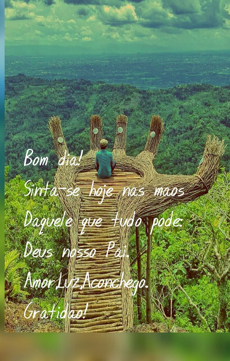 anelydutra's tweet image. 