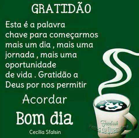 anelydutra's tweet image. 