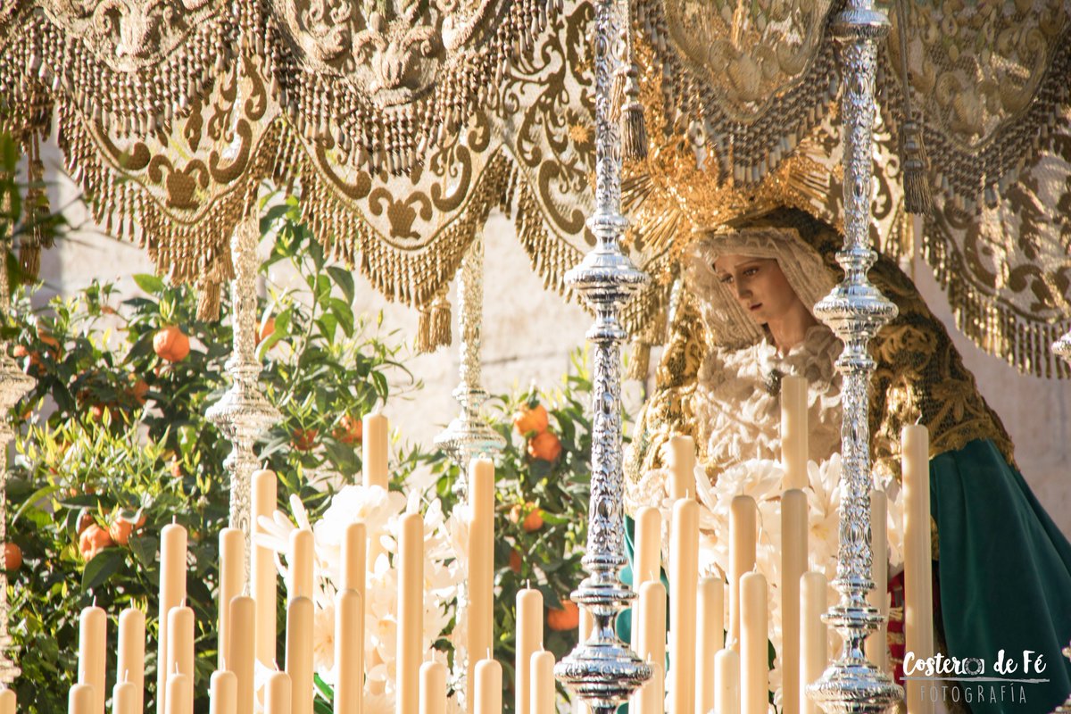 CosteroDeFe's tweet photo. Sueños de un Domingo de Ramos.... 

@borriquillaypaz @JBorriquilla @AMEstrellaGR @TitularesGr https://t.co/6ZOuro0Rsk