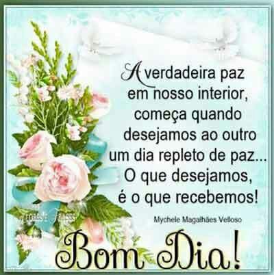 anelydutra's tweet image. 