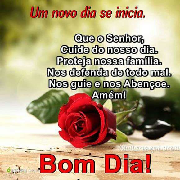 anelydutra's tweet image. 