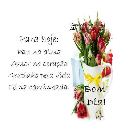 anelydutra's tweet image. 