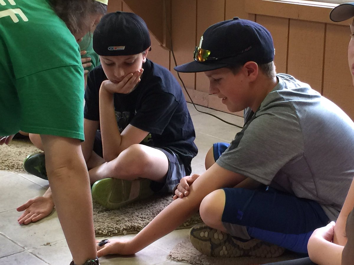 #dolsenthinkers learn all about amazing invertebrates!!