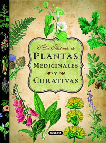propiplantas's tweet photo. 🍃💚Recomendado #ebook #Plantas Medicinales Y Curativas (Atlas Ilustrado) ➡️ https://t.co/ZPu5PWJv7k https://t.co/PtaPVK07p5