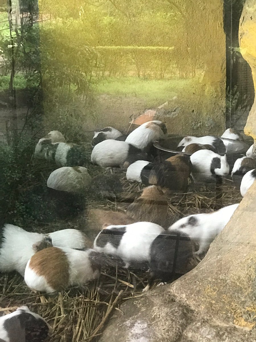 TBS Year 7 tweet media